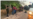 La VOA en la frontera: relatos de migrantes y menores no acompañados