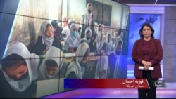 تجلیل از روز جهانی سواد آموزی 