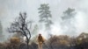 یک مأمور آتش نشانی در حال مهار کردن آتش در نزدیکی برنی - کالیفرنیا، ۱۳ مرداد