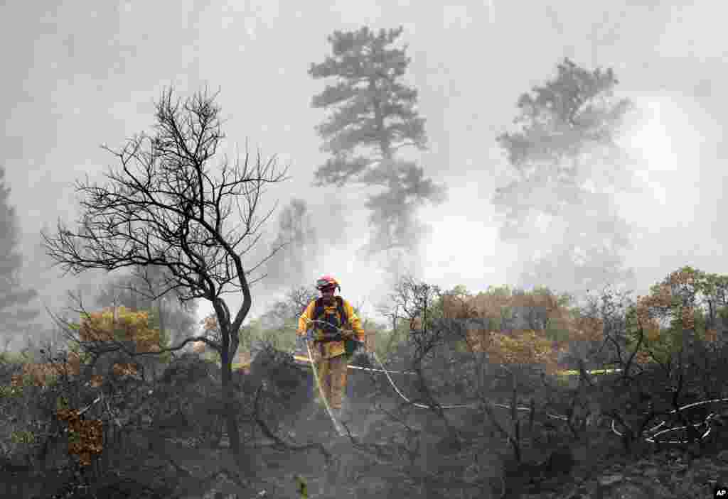 A firefighter with the Anderson Fire Protection District douses hot spots left behind by the Eiler Fire along Highway 89, Aug. 4, 2014, near Burney, Calif. Firefighters were focusing on two wildfires near each other in Northern California that have burned through more than 100 square miles of terrain.