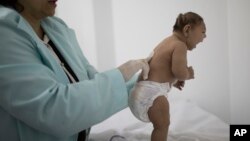 지난 12일 브라질 캄피나 그란데 시의 한 병원에서 신경과 전문의가 소두증으로 태어난 신생아를 검사하고 있다. (자료사진)