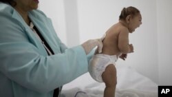 Penelitian dilakukan di Brazil untuk menentukan apakah virus Zika menyebabkan bayi lahir dengan cacat microcephaly (foto: ilustrasi).