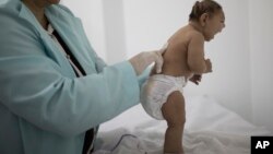 Un estudio reciente encontró que el virus del Zika ha sido hallado en los cerebros de los bebés afectados.