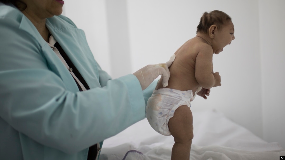 Penelitian dilakukan di Brazil untuk menentukan apakah virus Zika menyebabkan bayi lahir dengan cacat microcephaly (foto: ilustrasi).