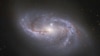 Con una visión profunda hacia el Universo, el Telescopio Espacial Hubble de NASA/ESA vislumbra las numerosas estructuras en forma de brazos que se mueven alrededor de esta galaxia espiral barrada, conocida como NGC 2608.