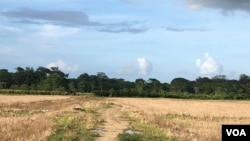 Este camino ubicado en una finca en el cantón Upala ha sido usado por los nicaragüenses para ingresar Costa Rica, sobre todo tras el estallido de las protestas y la crisis sociopolitica en el país centroamericano. [Foto: Armando Gómez]