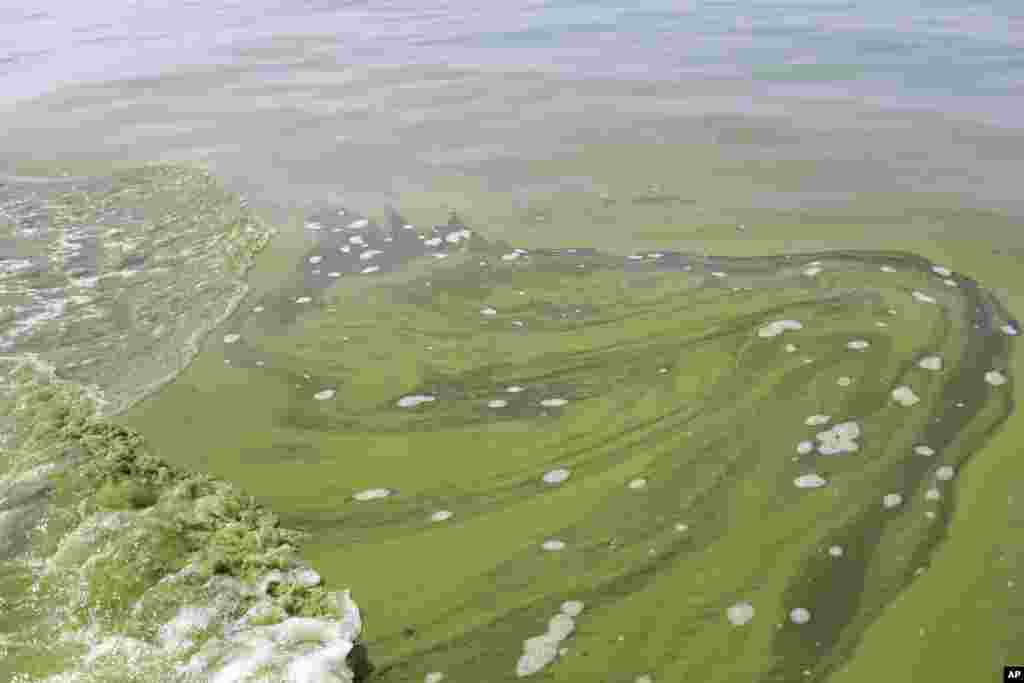 Algae is seen near the City of Toledo water intake crib in Lake Erie, about 2.5 miles off the shore of Curtice, Ohio, USA. More tests are needed to ensure that toxins are out of Toledo's water supply, the mayor said, instructing the 400,000 people in the region to avoid drinking tap water for a second day.