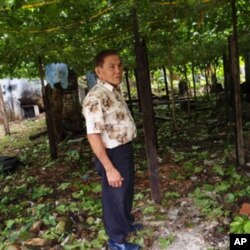 Ong Hock Huat, surrounded by his passion fruit plants that he grows just outside his home. He believes that the fruits have cancer-preventing properties.
