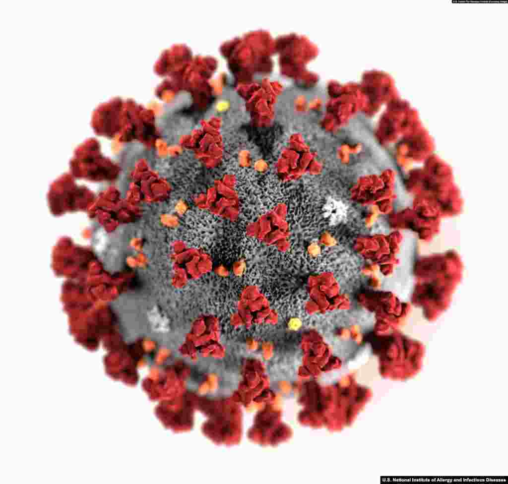 A computer animation of the new coronavirus, which causes the disease COVID-19. The appearance of a crown comes from the spikes that poke from the surface of the virus. (Courtesy: U.S. National Institute of Allergy and Infectious Diseases)