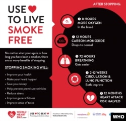 The World Heart Day Infographic © World Heart Federation