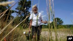 Gail Melix, of Barnstable, Mass., a member of the Herring Pond Wampanoag tribe, uses a watering can at the Wampanoag Common Lands project, in Kingston, Mass., Tuesday, Aug. 2, 2022. The project by the Native Land Conservancy is among efforts by tribes and other Native groups nationwide to reclaim and repair lands altered by western civilization. (AP Photo/Steven Senne)