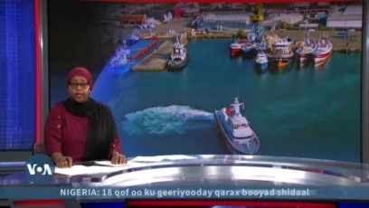 Talyaaniga oo muhaajiriin geeyey Albania