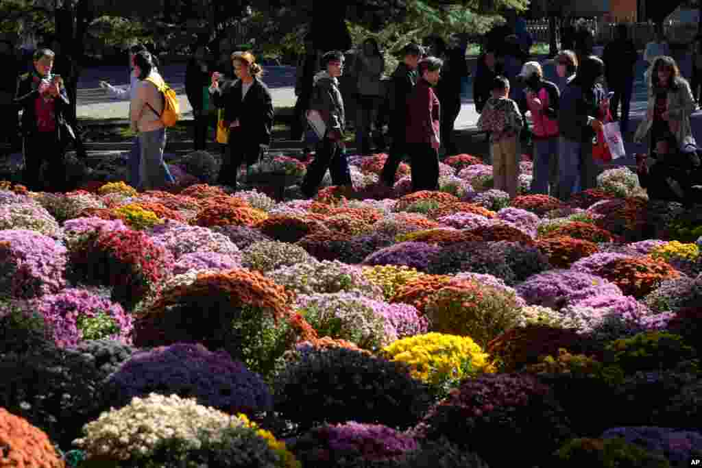پارکی در شهر بیجینگ، پایتخت چین