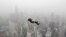 Seseorang melakukan aksi melompat dari ketinggian 300 meter dari Kuala Lumpur Tower di tengah hari berkabut asap di kota itu (2/10). (Reuters/Olivia Harris)