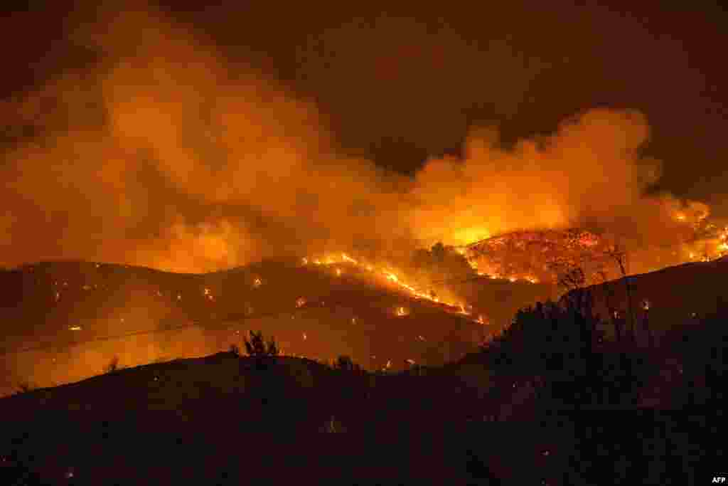 Trees burn in a forest on the slopes of the Throodos mountain chain as a giant fire rages on the Mediterranean island of Cyprus, July 3, 2021.
