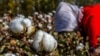 美国谴责中国因新疆棉花针对国际公司展开“国家主导”的社交媒体运动
