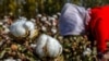 打擊強迫勞動 美國宣布全面禁止新疆棉花和番茄產品入境