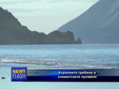 Коралите жртва на климатските промени