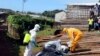在利比里亚弗里敦，卫生工作者把一名死于埃博拉的妇女的遗体移走。（2014年10月14日）