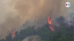 El cambio climático ha costado 750.000 millones de dólares en 5 años