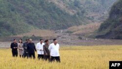 북한 김정은 국무위원장이 강원도 김화군 수해복구 현장을 현지 지도했다고 관영매체들이 2일 보도했다.