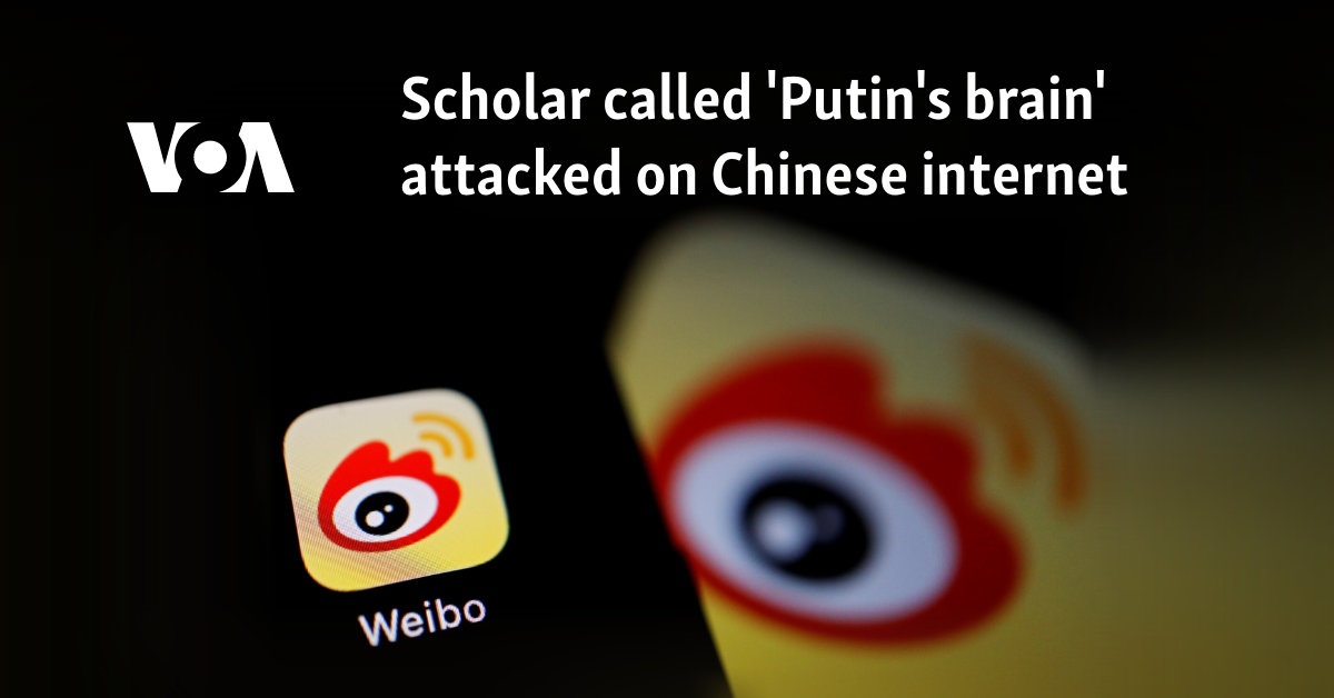 Scholar called 'Putin's brain' attacked on Chinese internet