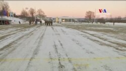 Եվրոպական երկրների առաջնորդները մեծապես մտահոգված են