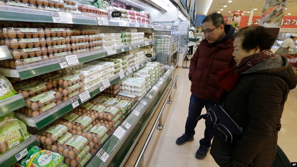 North and South Korea hit by bird flu outbreaks ahead of Olympics (voanews.com)