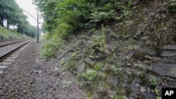 The potential site where a Nazi gold train is believed to have been hidden, is seen near the city of Walbrzych, Poland, Aug. 28, 2015.