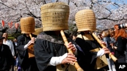 Japanese Zen practitioners, "Komuso", in traditional religious outfit parade, playing the bamboo flute, or shakuhachi, as cherry blossoms are in full bloom at Ueno park in Tokyo, Thursday, April 2, 2015.