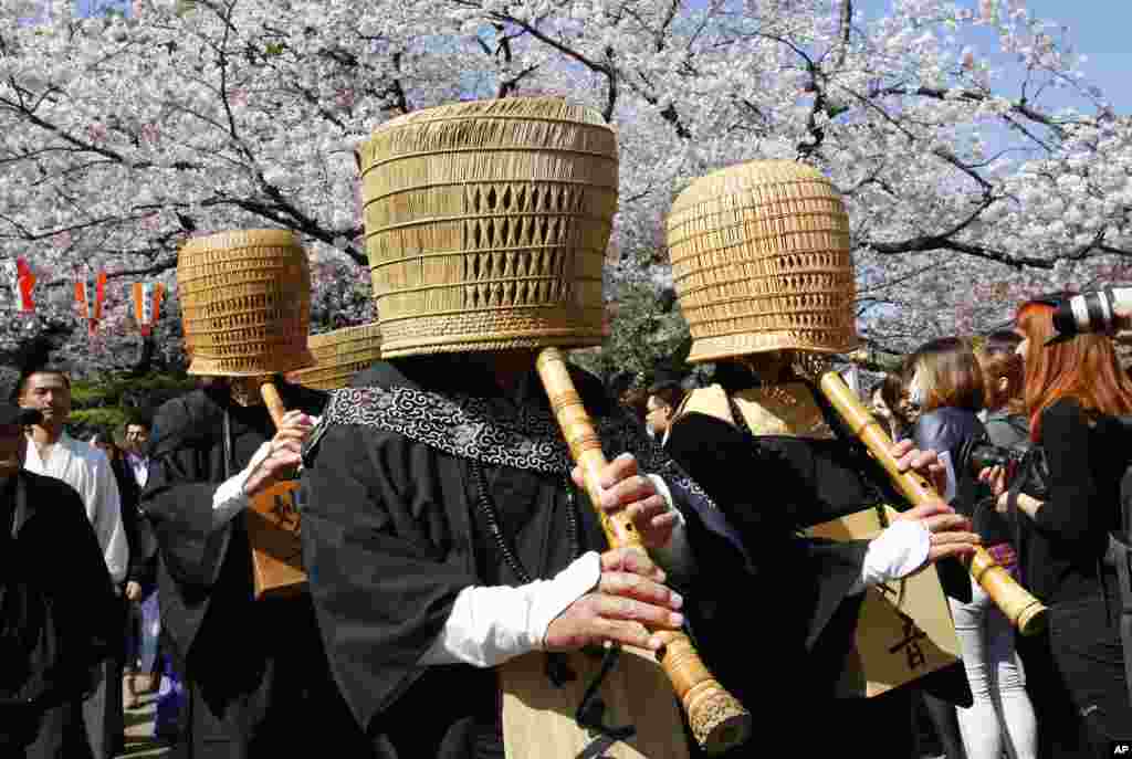 Japanese Zen practitioners or &quot;Komuso&quot;, in traditional religious outfit playing the bamboo flute, or shakuhachi, parade as cherry blossoms are in full bloom at Ueno park in Tokyo, Japan.