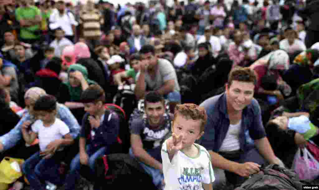 Migrants Macedonia-Greek Border, Gevgelija 5 September 24, 2015 