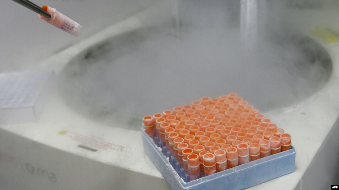 Zamrznuti embrioni u laboratoriji, arhiva (MAURICIO LIMA / AFP)