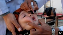 A health worker gives a polio vaccine to a child in Peshawar, Pakistan, Tuesday, Feb. 18, 2020. There is some evidence that live vaccines give added immunity against other infections. (AP Photo/Muhammad Sajjad)