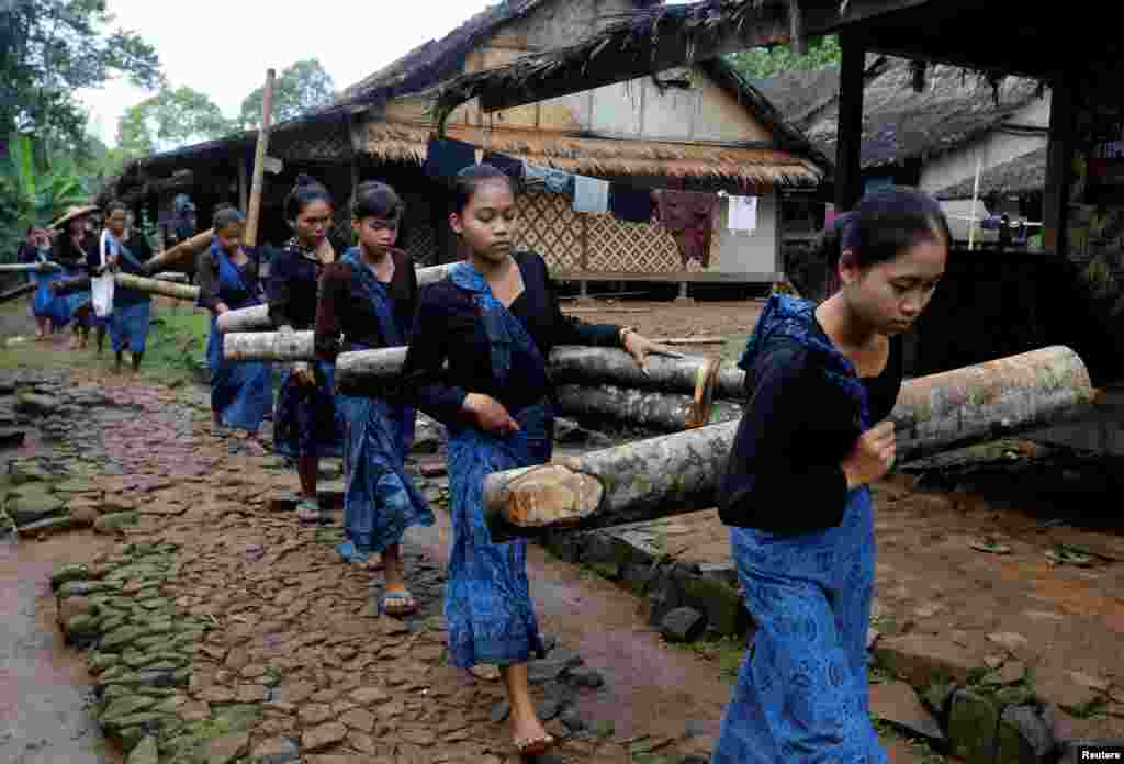 Baduy women carry tree trunks as they walk in front of a polling station for regional elections at Kanekes village in Rangkasbitung, Banten province, Indonesia.