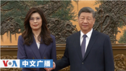 美国之音中文广播 (2026年4月11日)