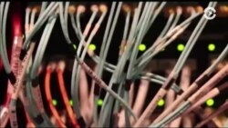 Настоящее Время. Америка – 6 января 2017