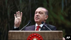 FILE - Turkey's President Recep Tayyip Erdogan addresses a group of farmers, in Ankara, Turkey, Monday, Nov. 14, 2016.
