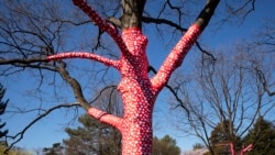 The sculpture "Ascension of Polka Dots on the Trees" by Japanese artist Yayoi Kusama is on display at the New York Botanical Garden, Thursday, April 8, 2021 in the Bronx borough of New York.