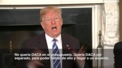 ¿Qué piensa el presidente Trump sobre DACA?