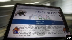 Ảnh chụp trang web fancybear.net trên một màn hình máy tính ở Moscow, Nga, ngày 14 tháng 9 năm 2016. 