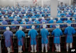 FILE - Workers peel shrimp at Thai Union factory in Samut Sakhon, Thailand, Aug. 23, 2016. Facing international pressure for failing to stop human trafficking in its seafood sector, Thailand promised almost a year ago to compensate victims of slavery and industry leaders vowed to bring all fish processing in-house.