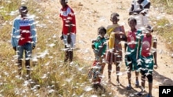 Farin dango a kasar Madagascar