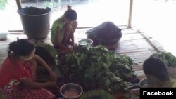 ကြမ္းရြက္မ်ား (Photo Credit: Min Can CI)