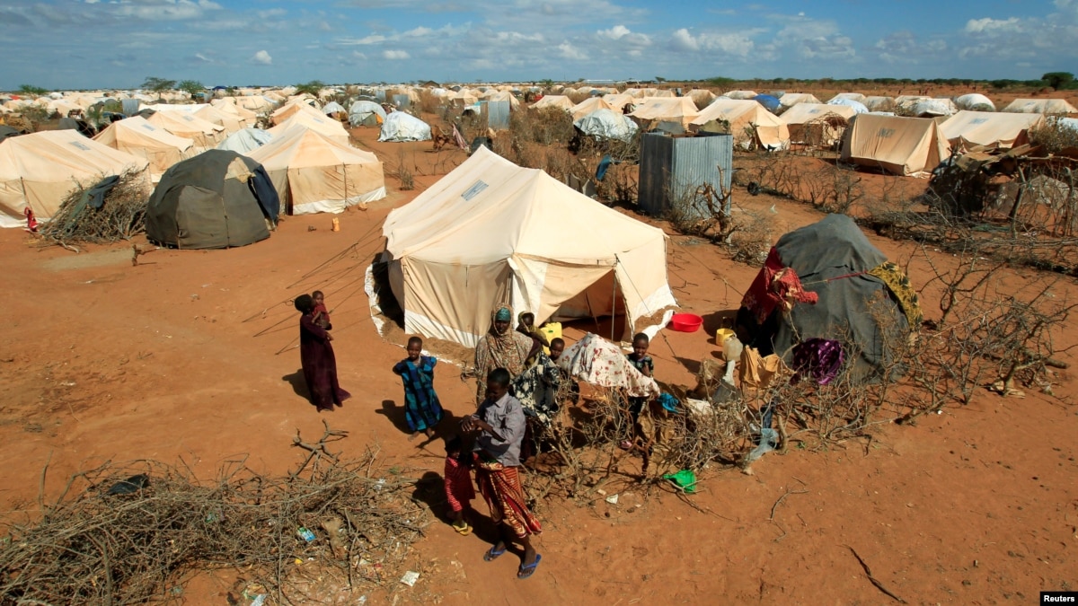 UN Names Warsame as Director for Global Emergencies