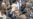 French President to Sue Website for Defamation