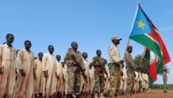 Foreign Envoys Urge UN Security Council Lift SSudan Arms Embargo [3:18]