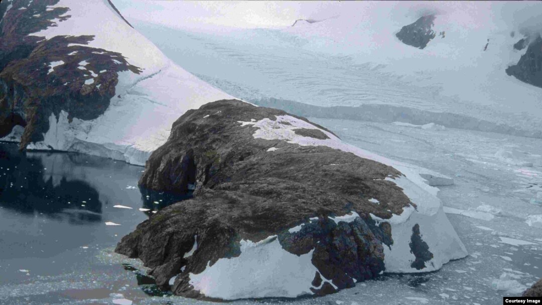 Researchers sampled this location on the northwest coast of Alexander Island on the Antarctic Peninsula to discover unprecedented growth rates in the vegetation. (British Antarctic Survey)