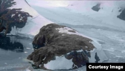 Researchers sampled this location on the northwest coast of Alexander Island on the Antarctic Peninsula to discover unprecedented growth rates in the vegetation. (British Antarctic Survey)