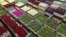 Flowers are prepared at a FloraHolland warehouse in Aalsmeer, the Netherlands, March 16, 2016. 